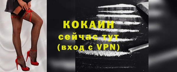 спиды Дмитриев