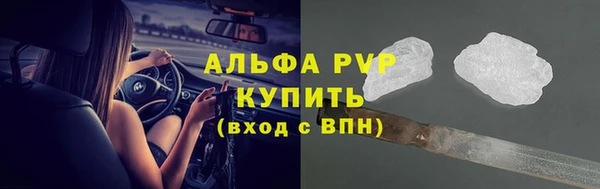 спиды Дмитриев