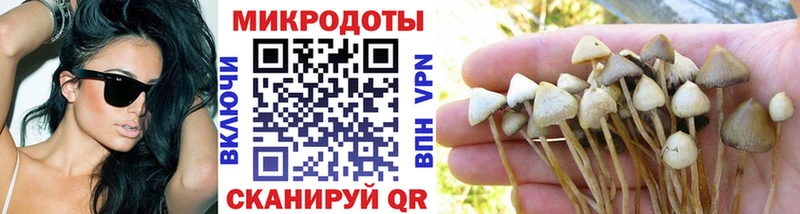 Галлюциногенные грибы Psilocybe  где найти   Олёкминск 