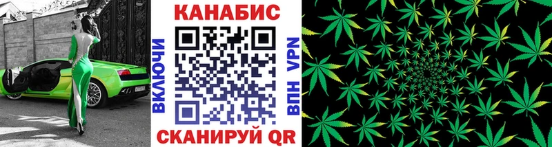 Бошки марихуана Amnesia площадка наркотические препараты Олёкминск цена